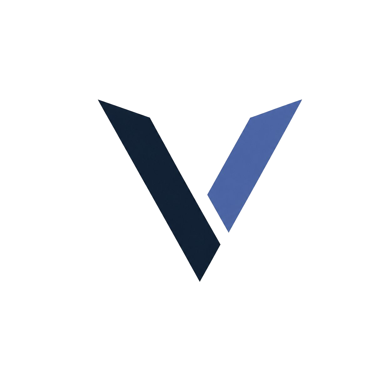 Velora Digital — Web, App & IT Services